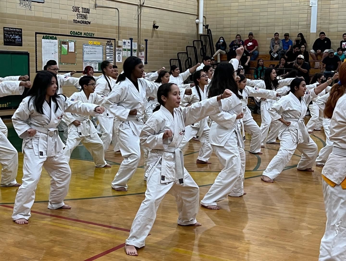 Karate students performing a stance